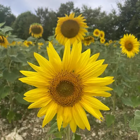 Lejlighed 9 Impasse Saint Martin